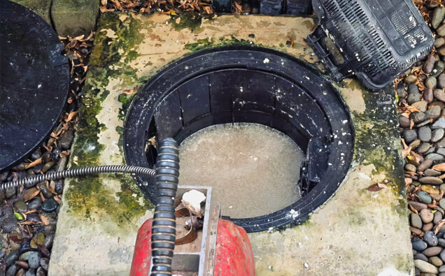 https://plumberellenbrook.com.au/uploads/2025/06/blocked-drains-820453.jpg