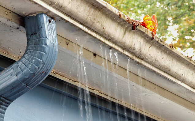 https://plumberellenbrook.com.au/uploads/2025/06/plumbing-79558.jpg